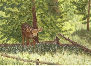 Only Three Hours Old!